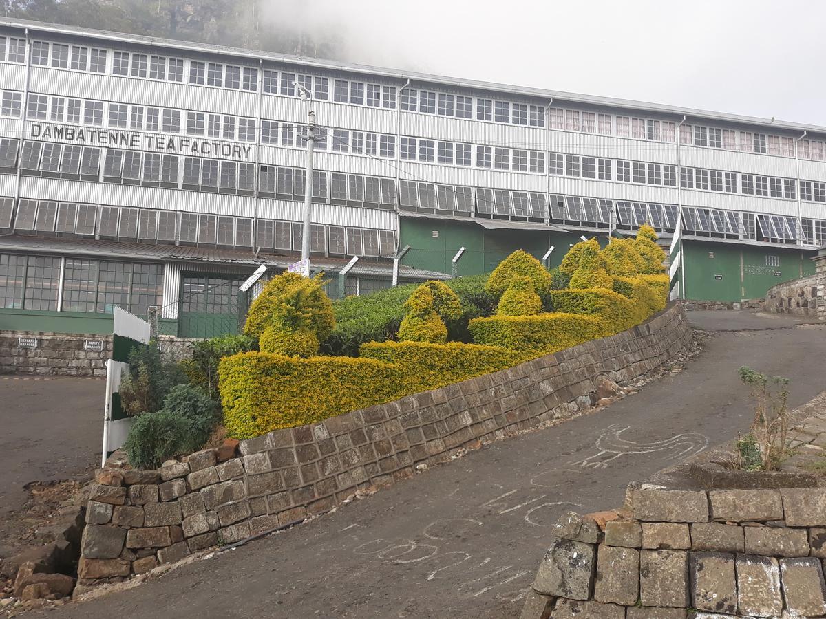 Lilly Guest Inn Haputale Exteriér fotografie